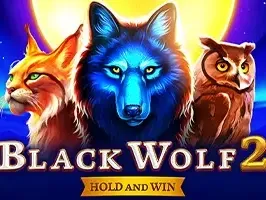 Black Wolf 2 screenshot